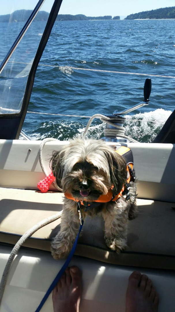 Rudy  Sailing