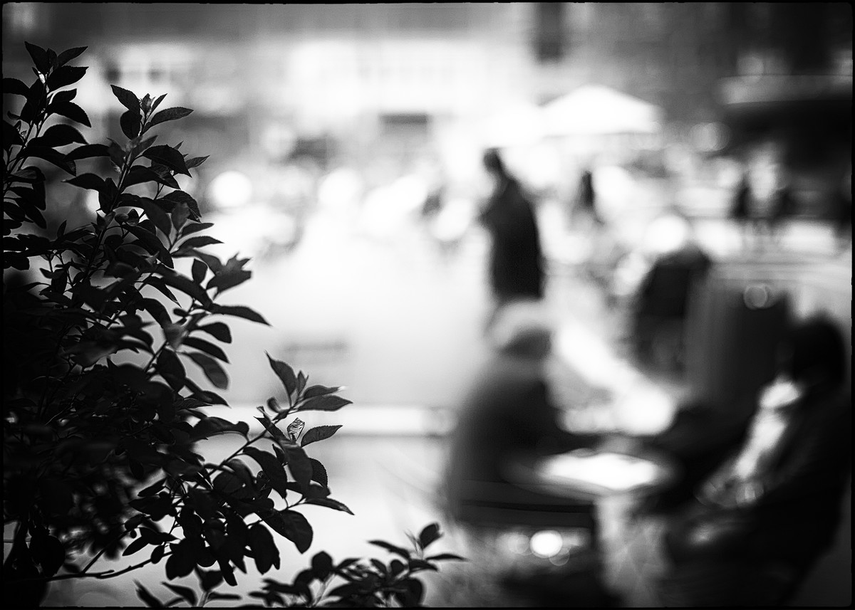 Saturday in the park 
