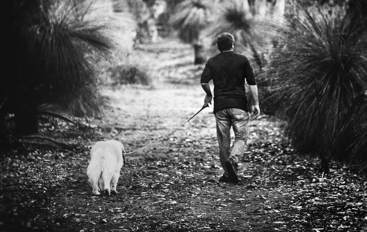 the last walk