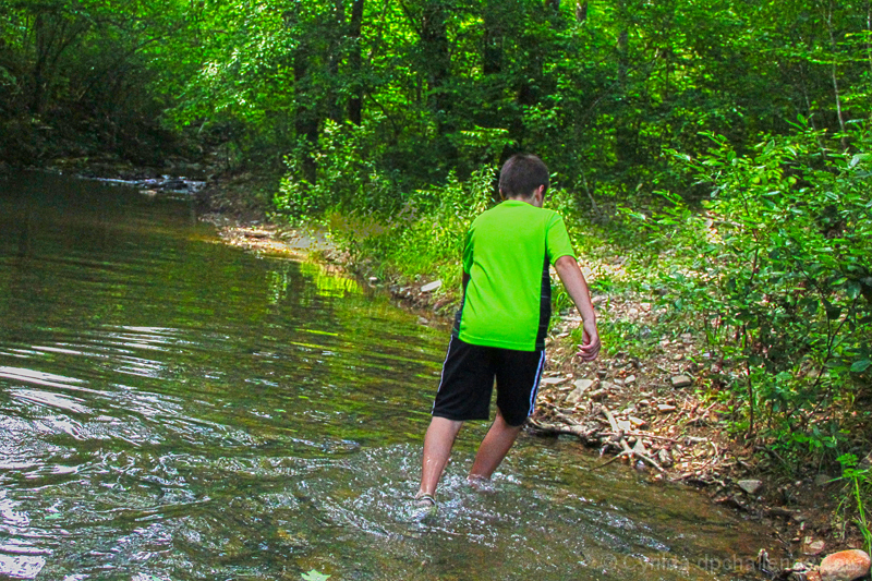 Creek Wading in the Spring