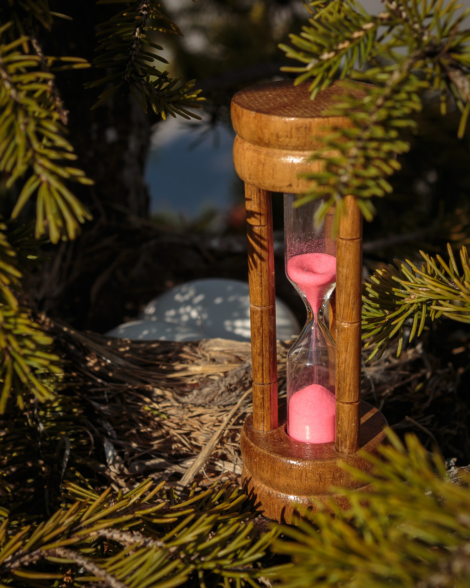 Bird Egg Timer