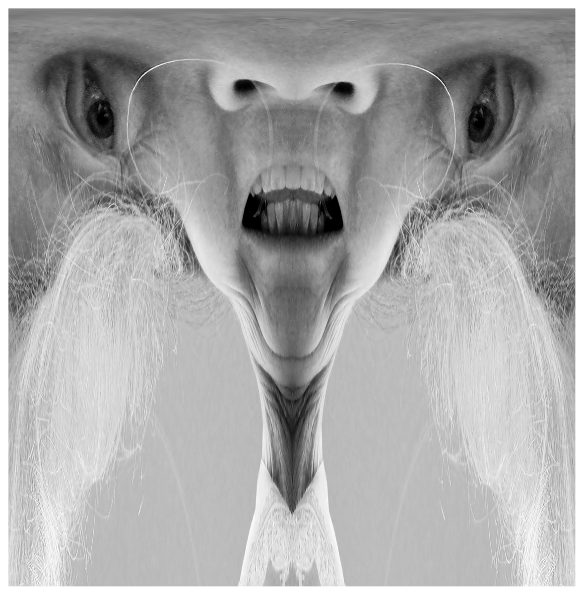 Hammerhead Human