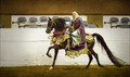 Horsewoman in Native Arab Costume