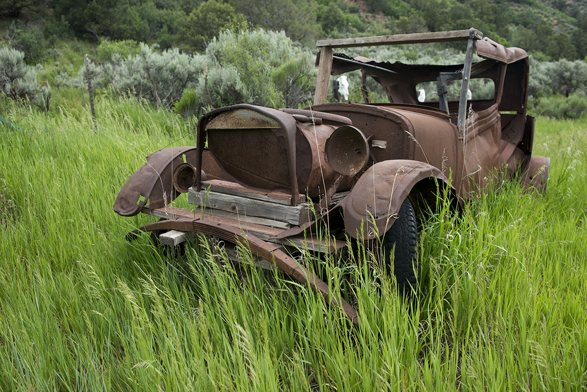 out to pasture