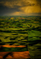Farmland