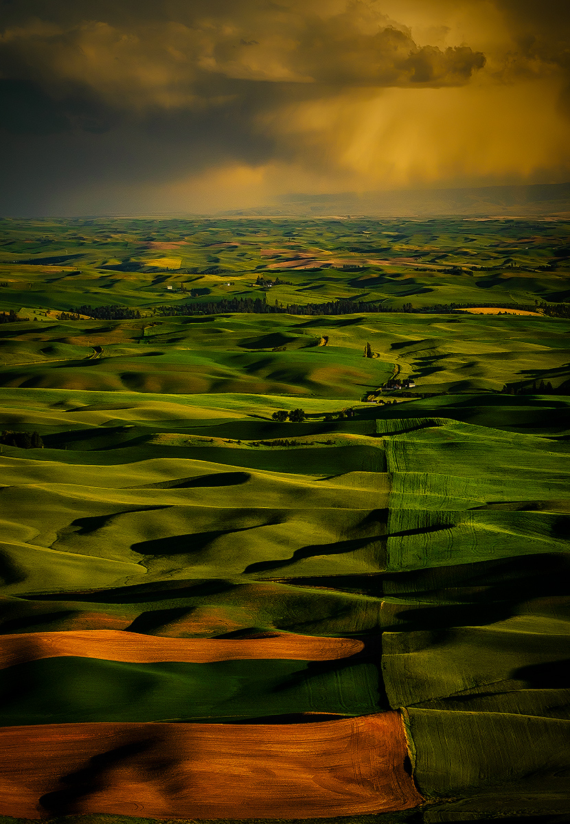 Farmland