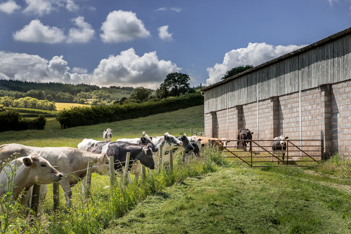 Browns Farm