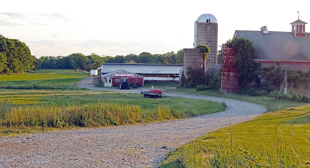 Sunshine Dairy Farm