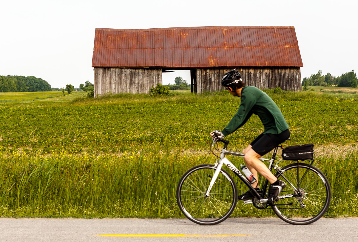 Distracted Cycling