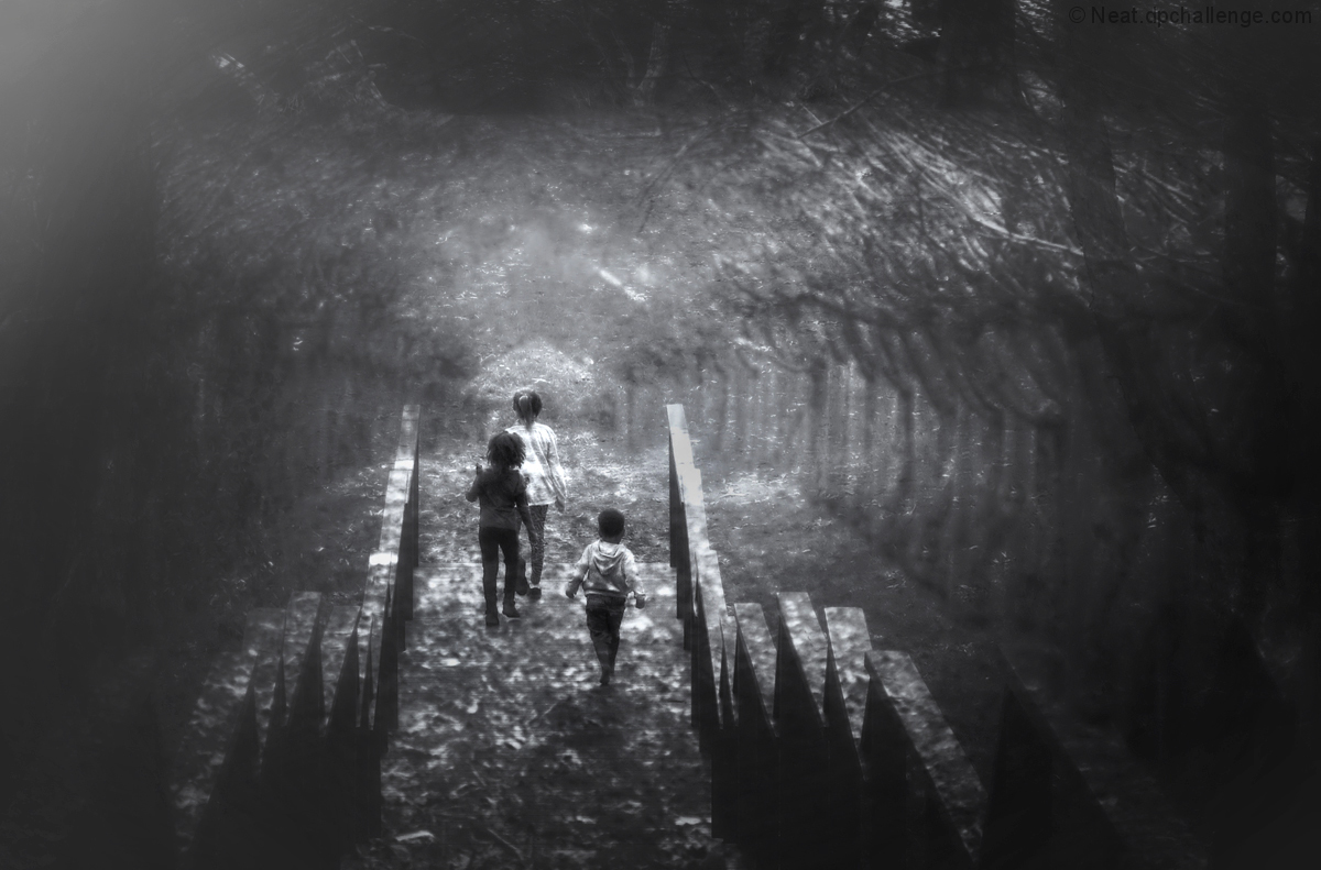 the quest of youth