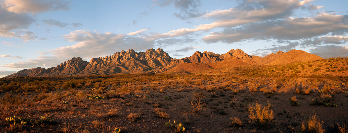 Organ Pipe Mountain Sunset