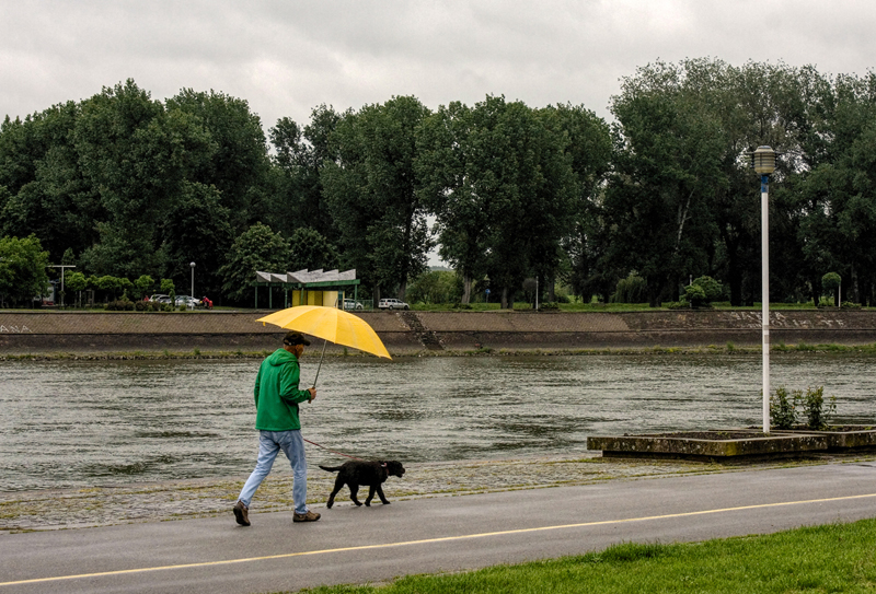 Rainy day