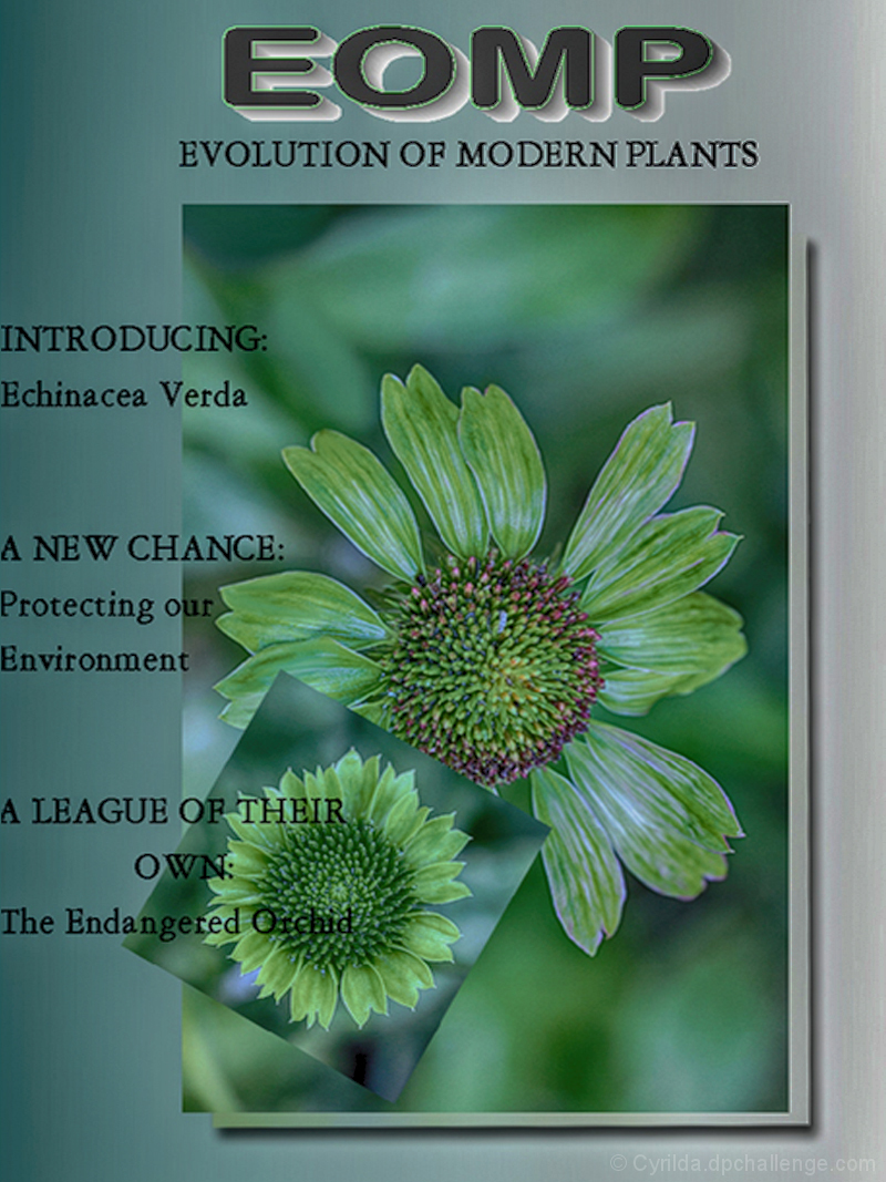 EOMP Magazine