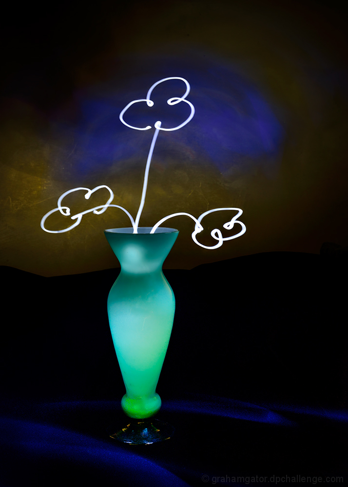 Light Blooms