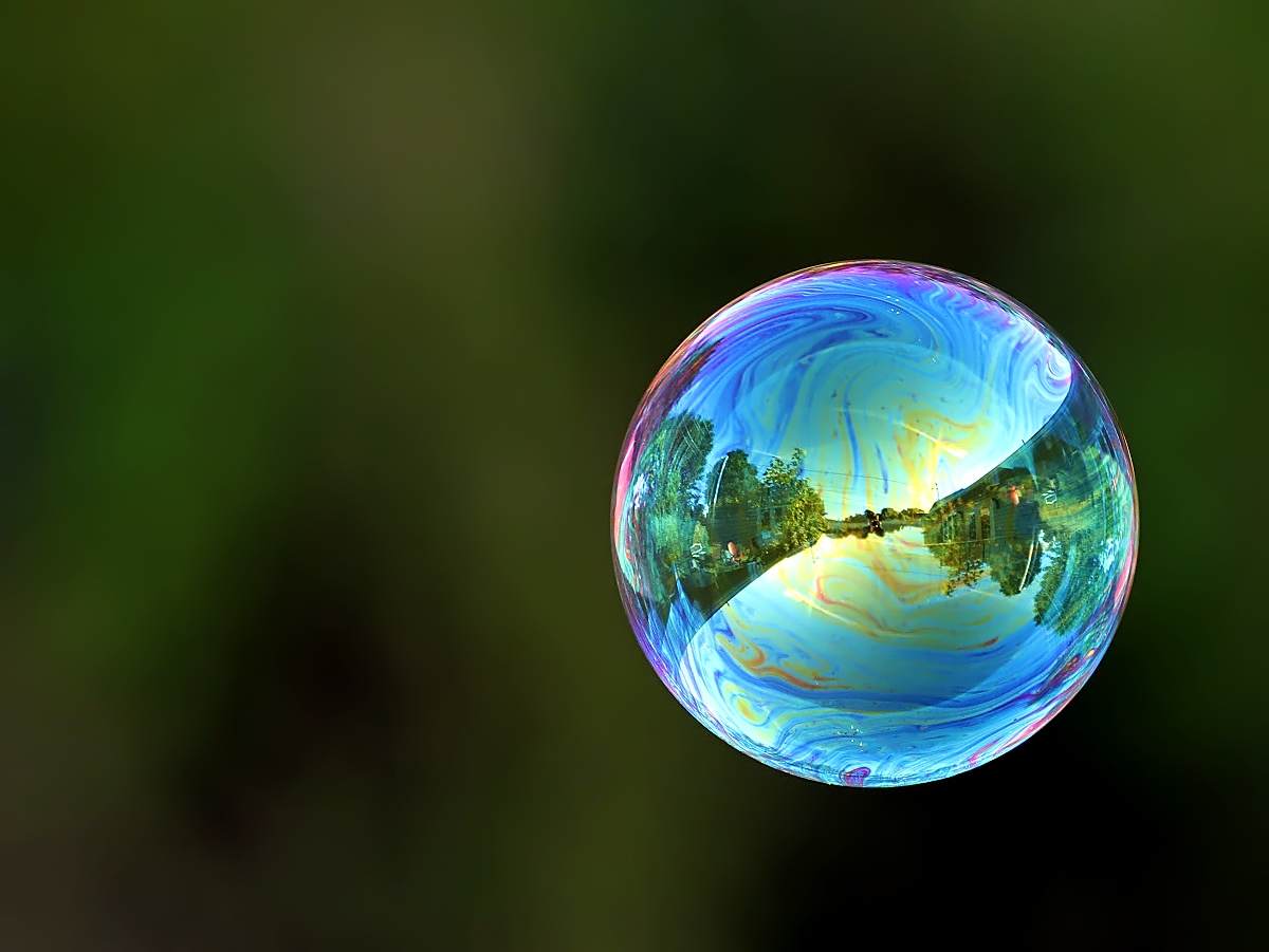 My World in a Bubble