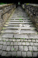 The Steep Steps