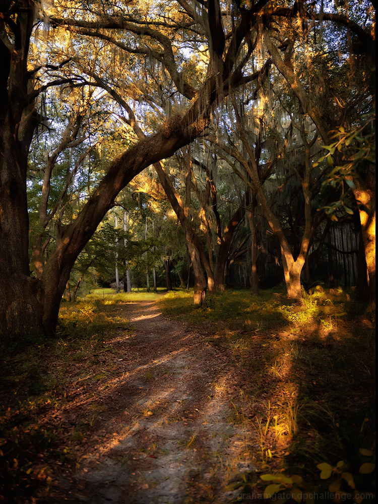 Evening Approaches