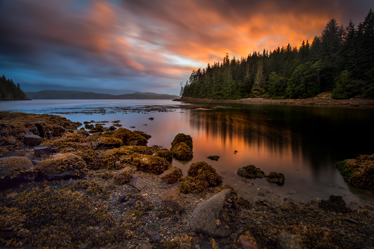 White Beach Cove, Compton Island, BC