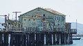 Sea Fish Here (Abandoned Pier)