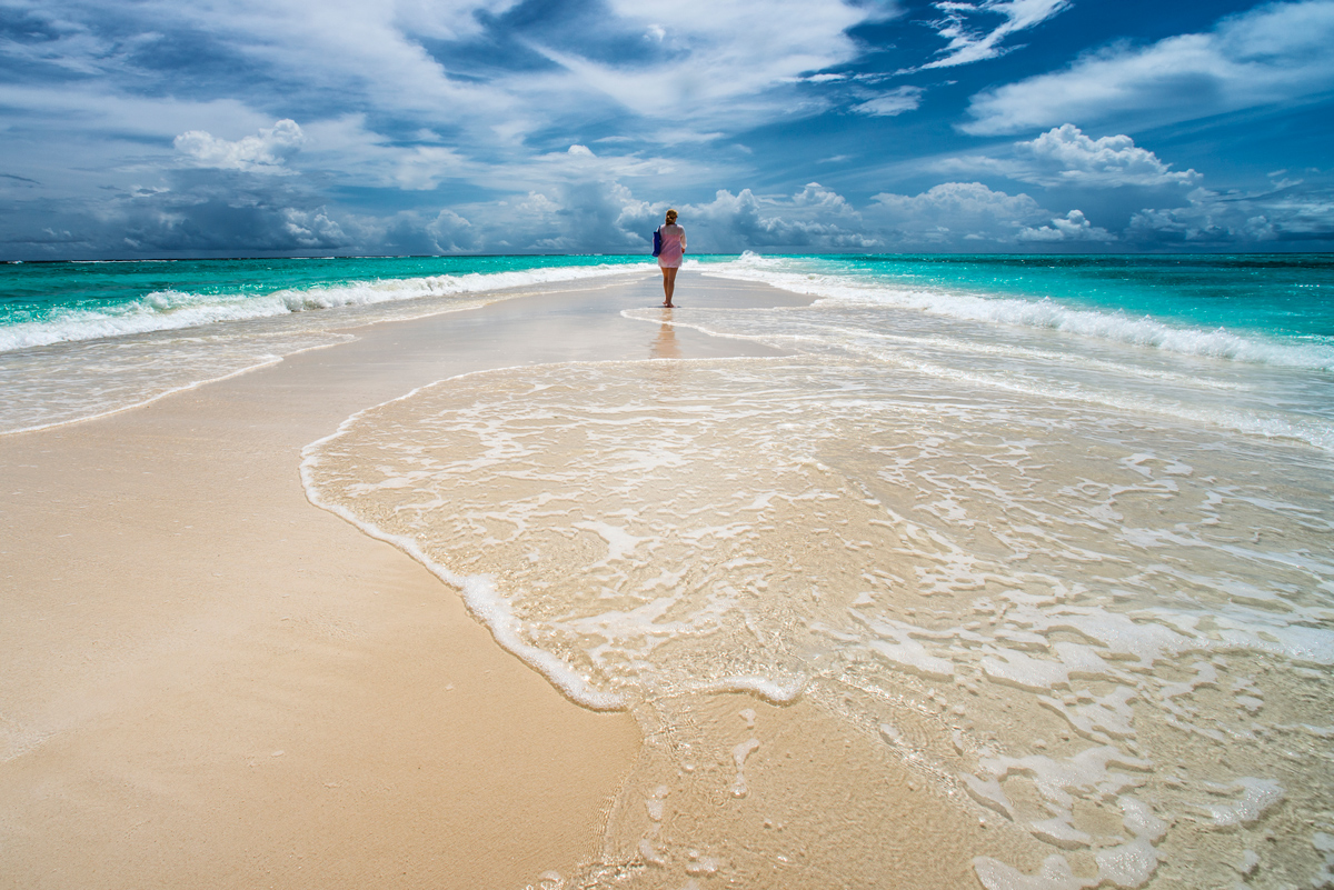 As I Ebb'd with the Ocean of Life - Walt Whitman