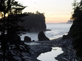 ruby beach dusk