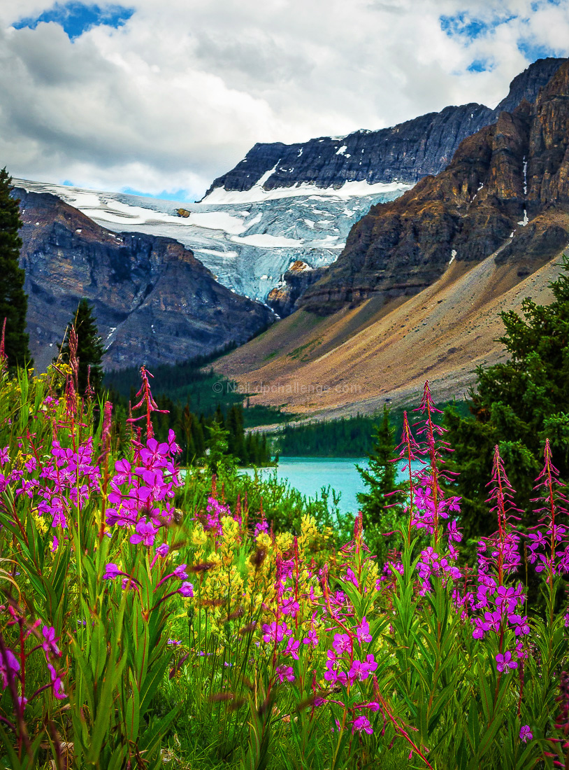 The Icy Beauty of Banff