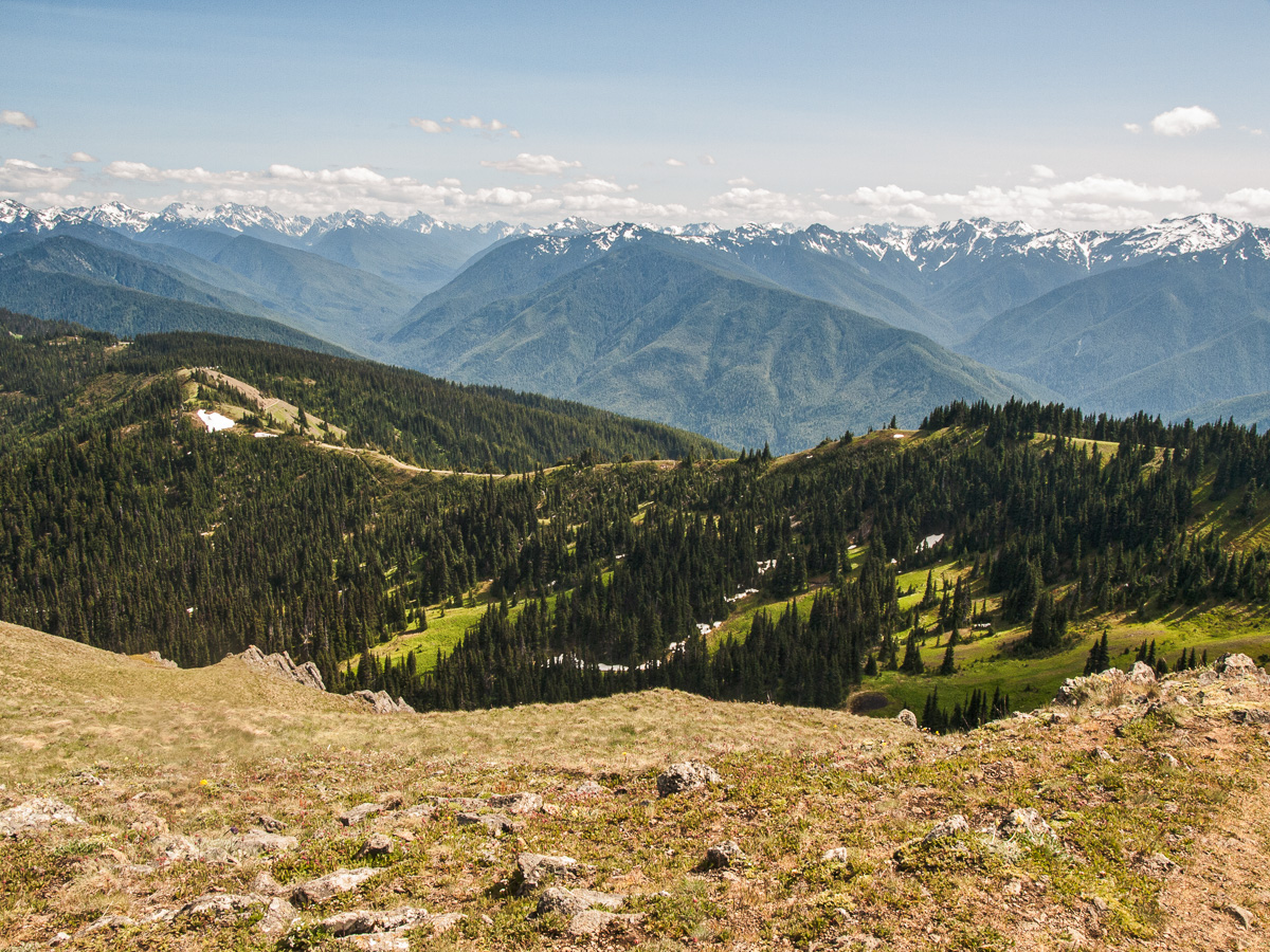 Hurricane Ridge, Olympic National Park