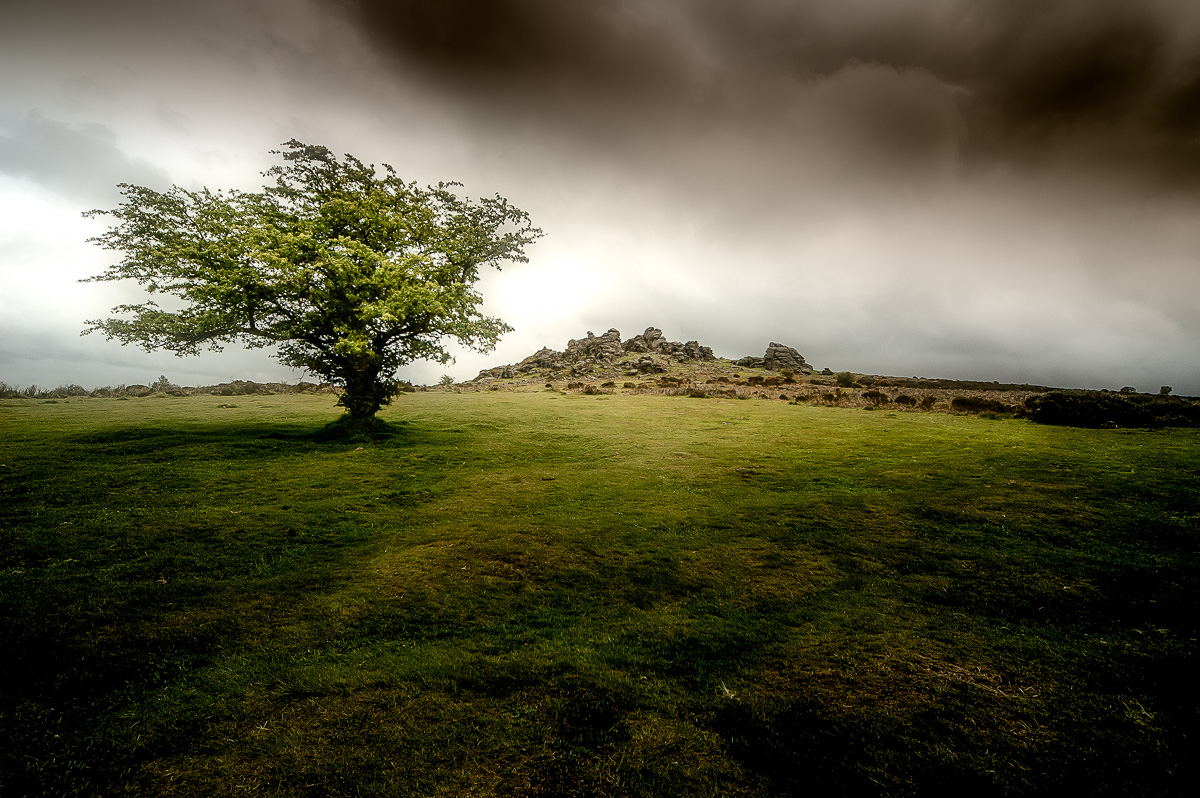 Hounds Tor, Dartmoor National Park