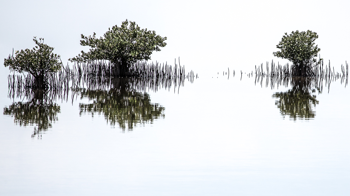 Merritt Island National Wildlife Refuge, Fl