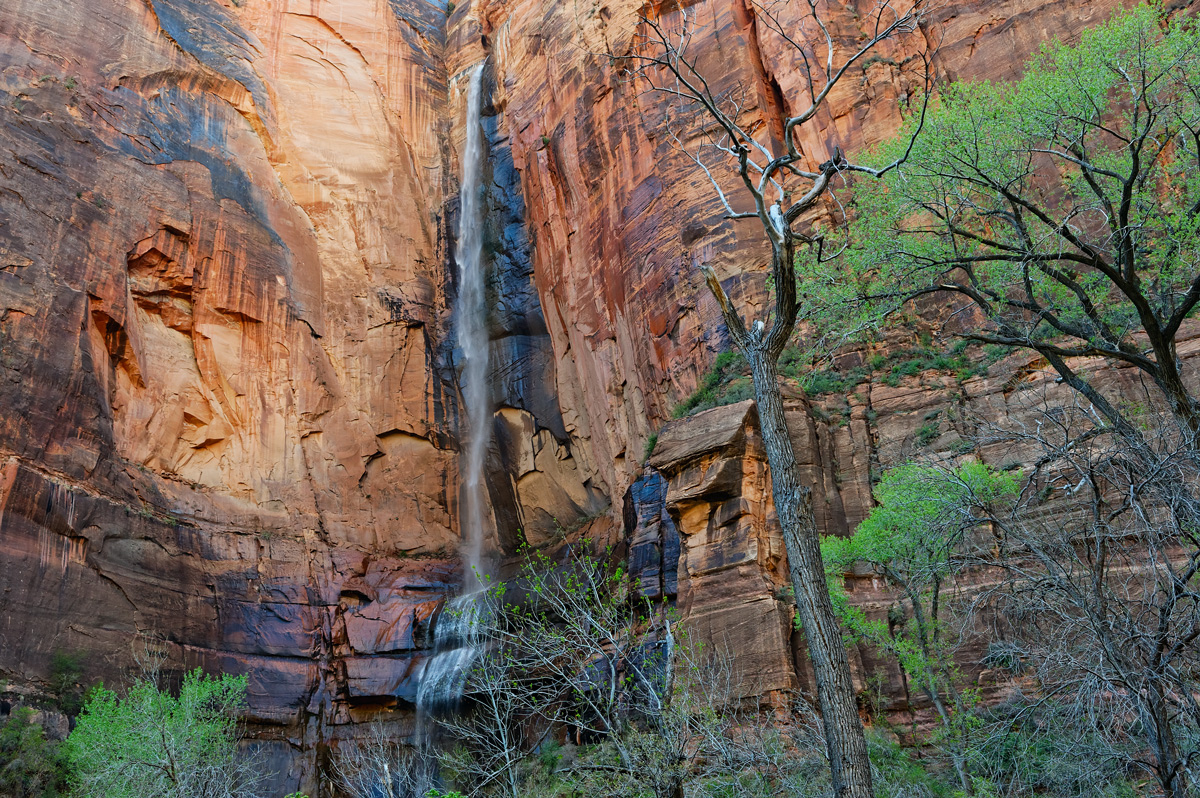 Waterfall, Zion National Park