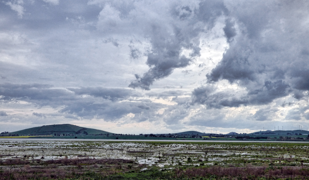 Struggling Lake