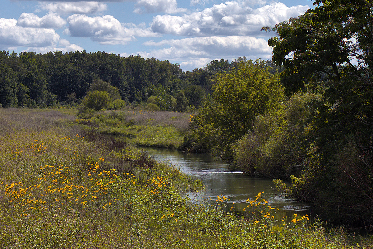 Abandoned Canal