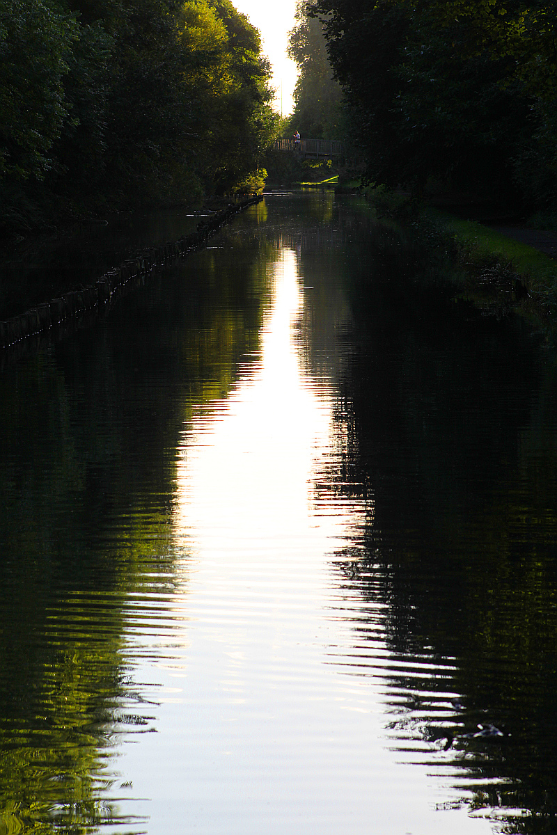 The Old Canal