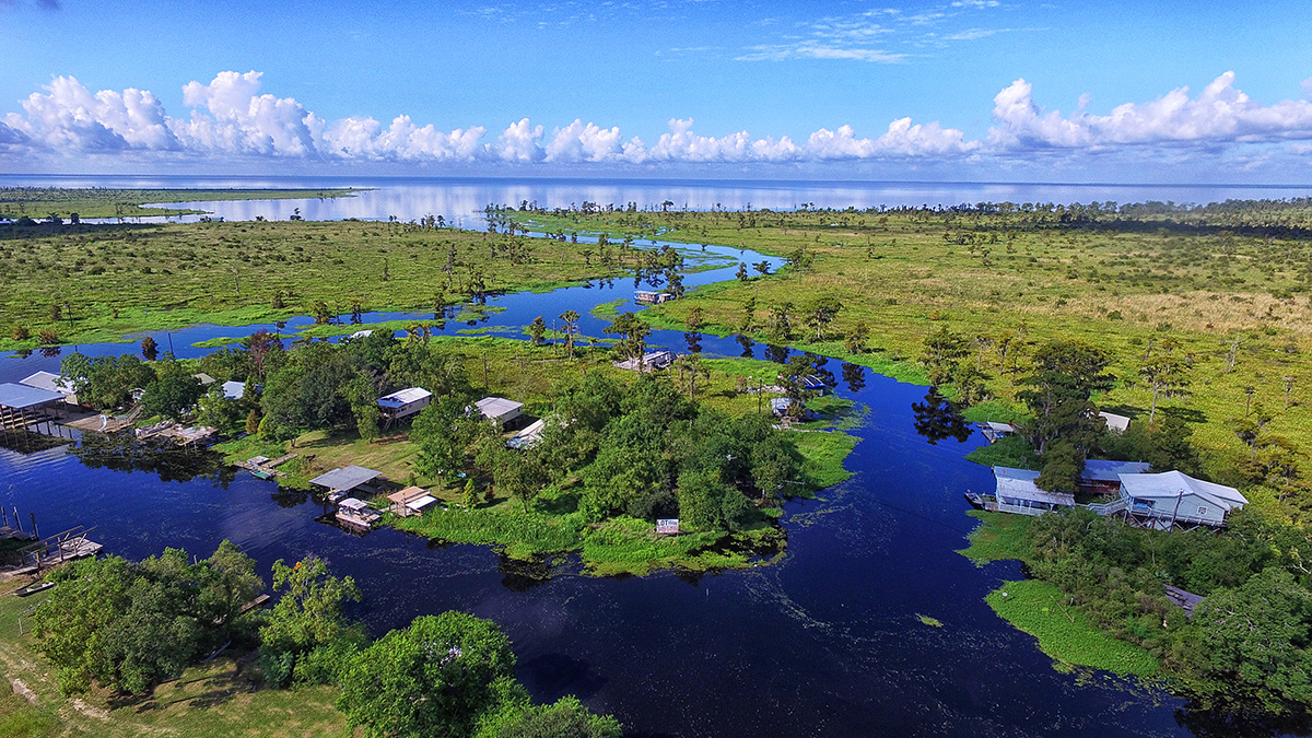 Where the Lake Meets the Swamp