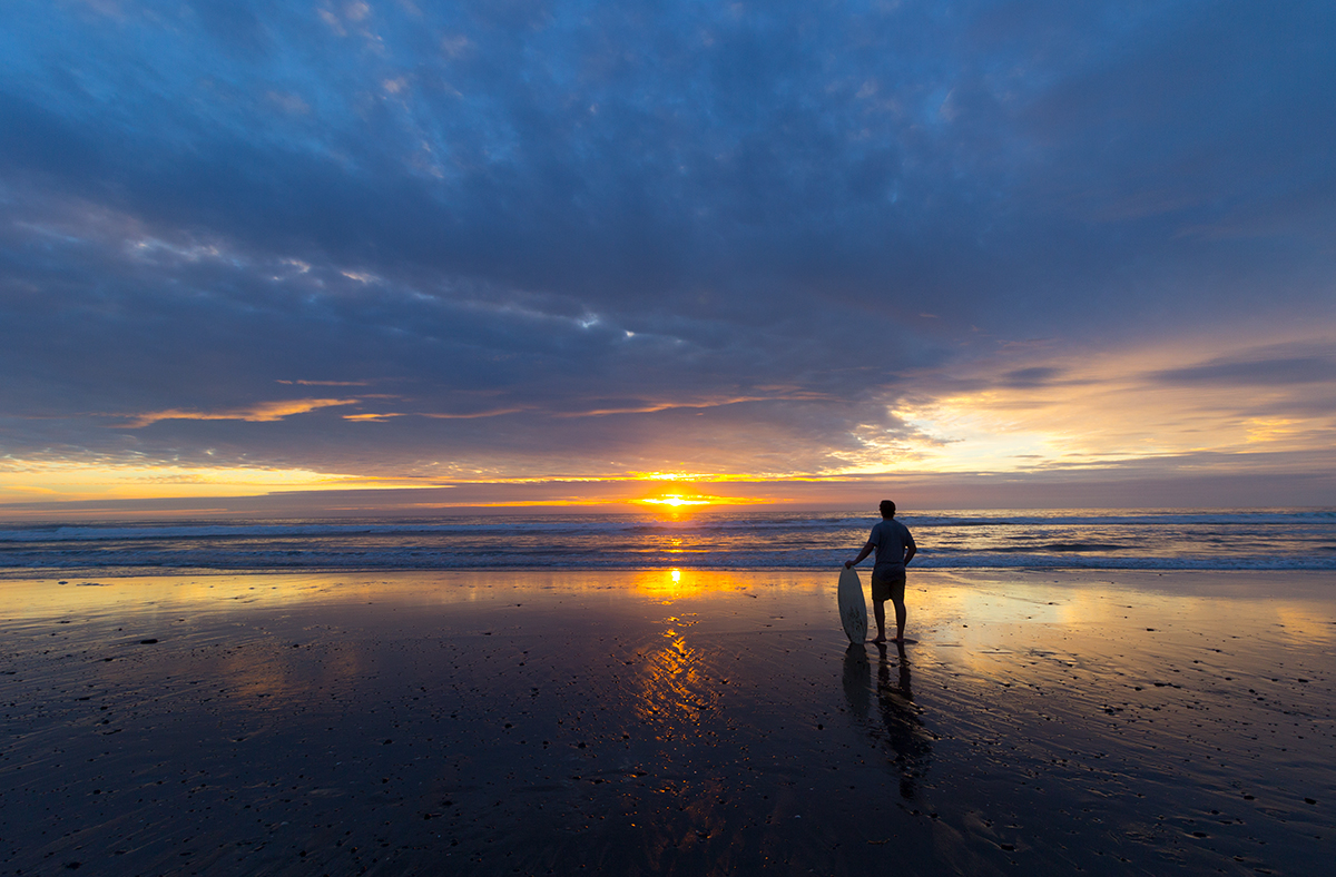 Stepping Back into the Sea