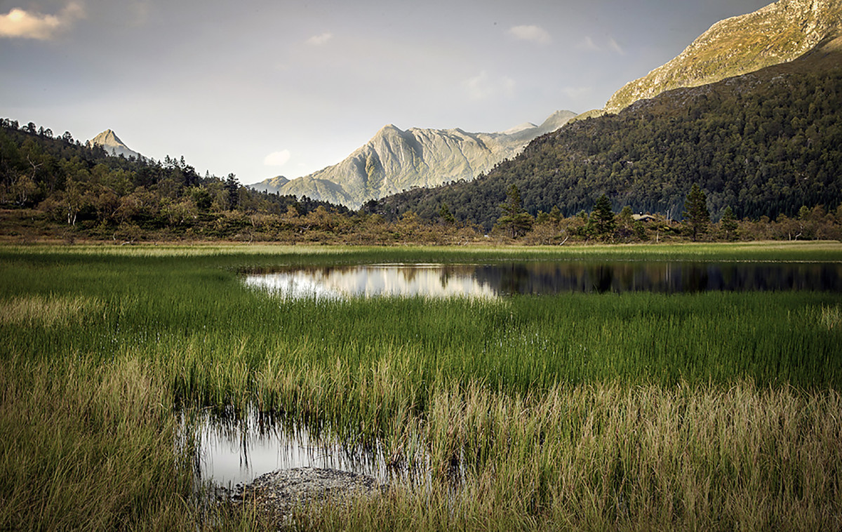 Where the mountain lake meets shore