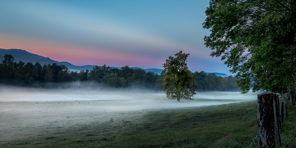 Morning Mist