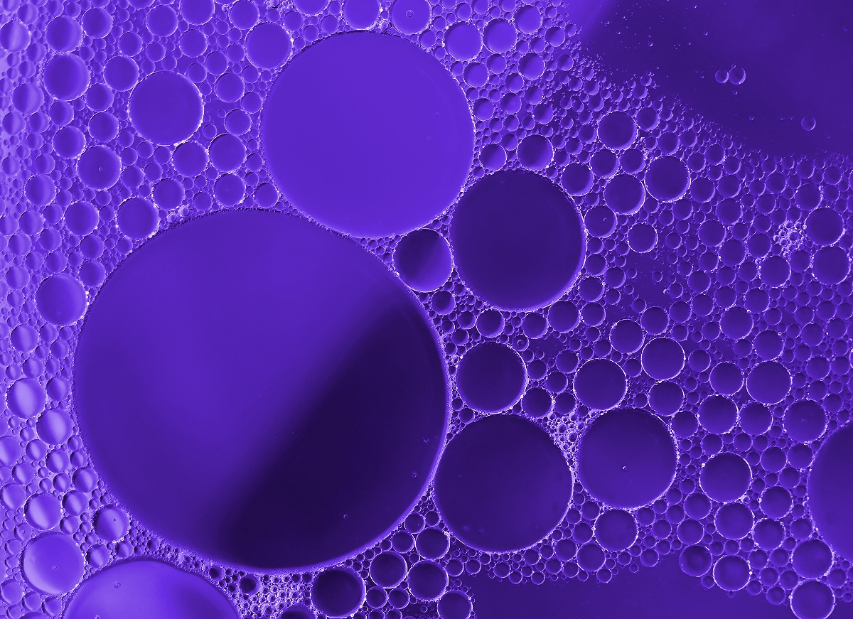 Purple Side of the Moon