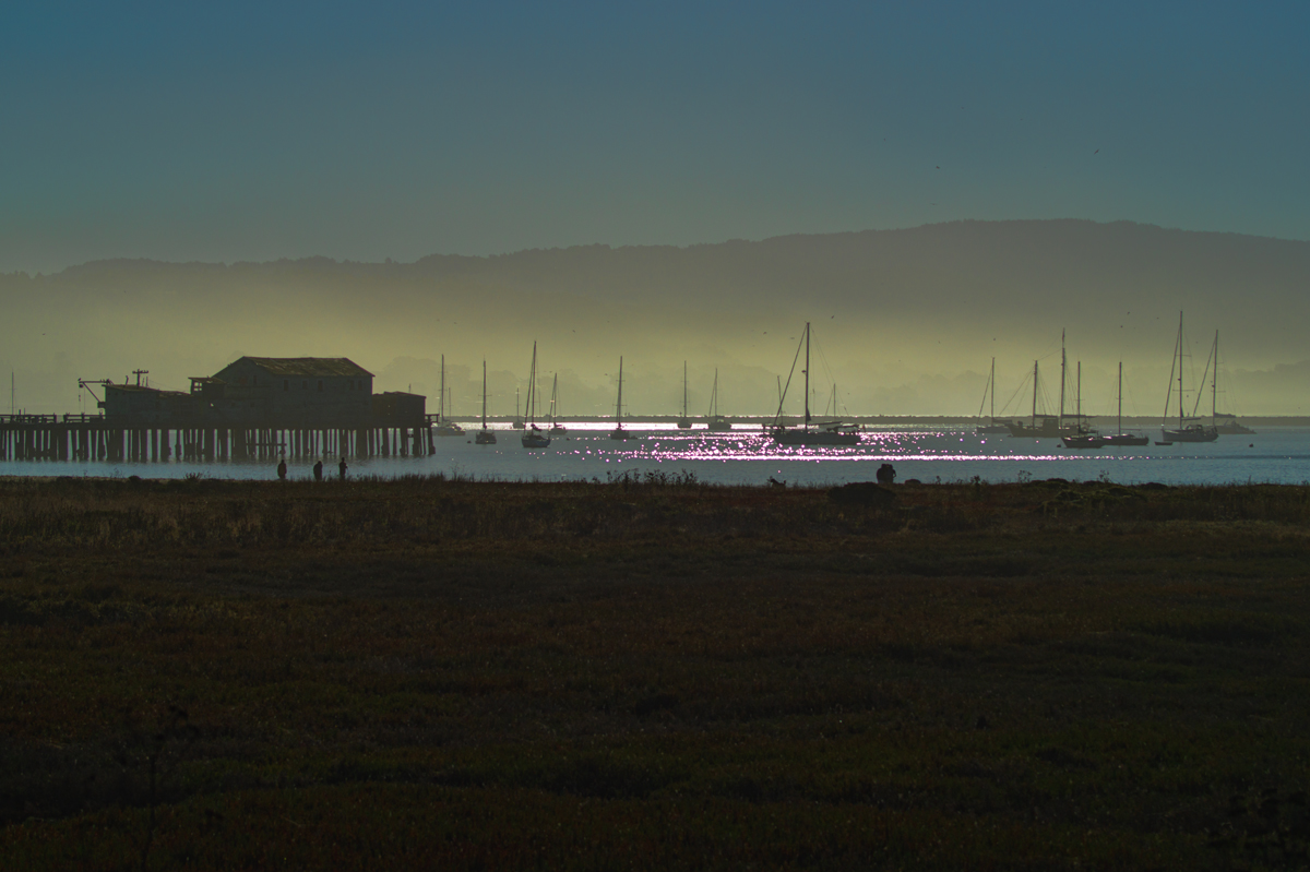 Gold Coast Aberration