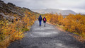 Walking Together