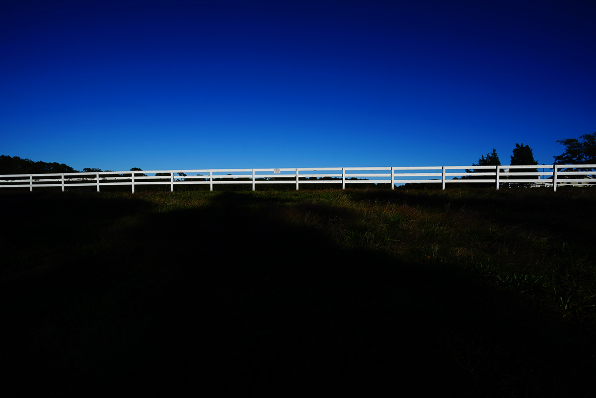 Paddock Fence