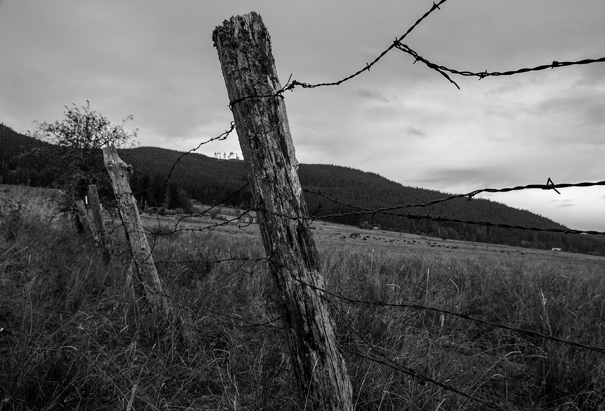 Barbed Wire