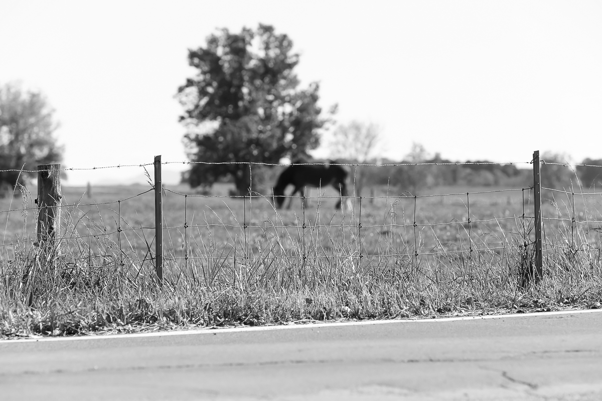 Farm Wire Fence