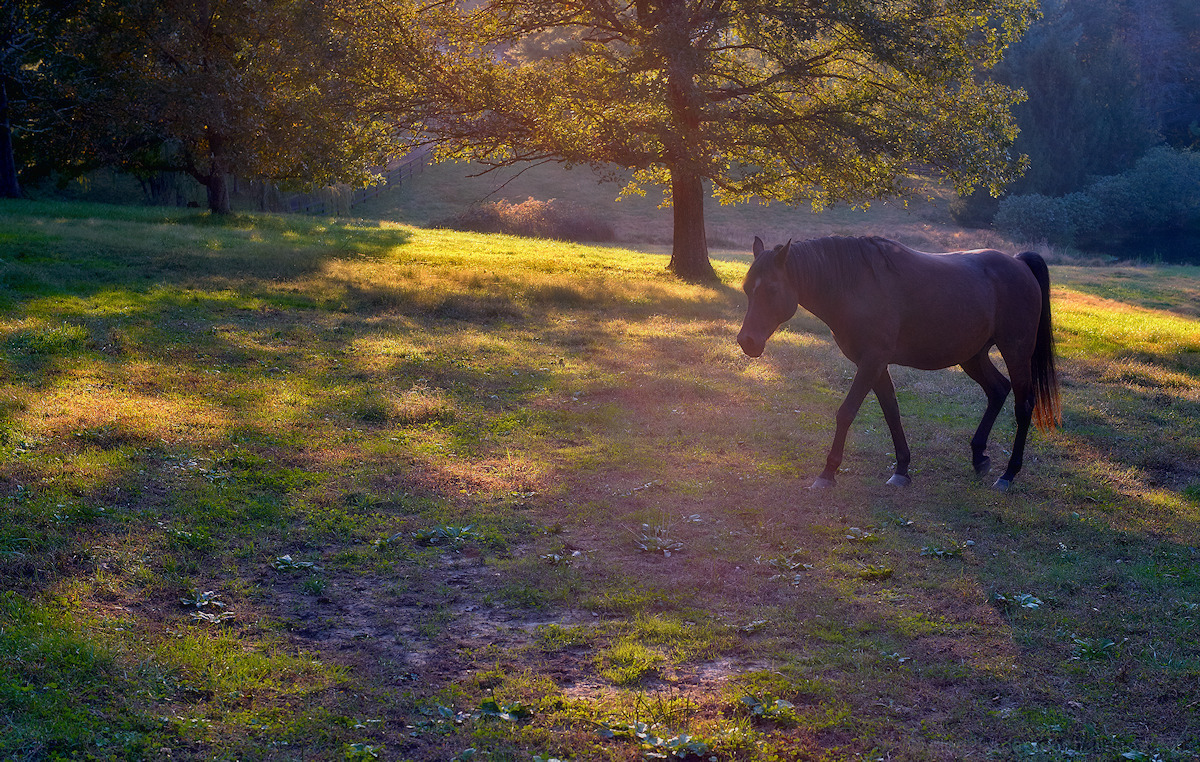 Fading Daylight