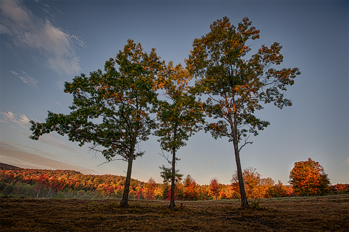 Autumn in Alexandria