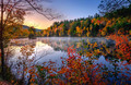 Fall Peek