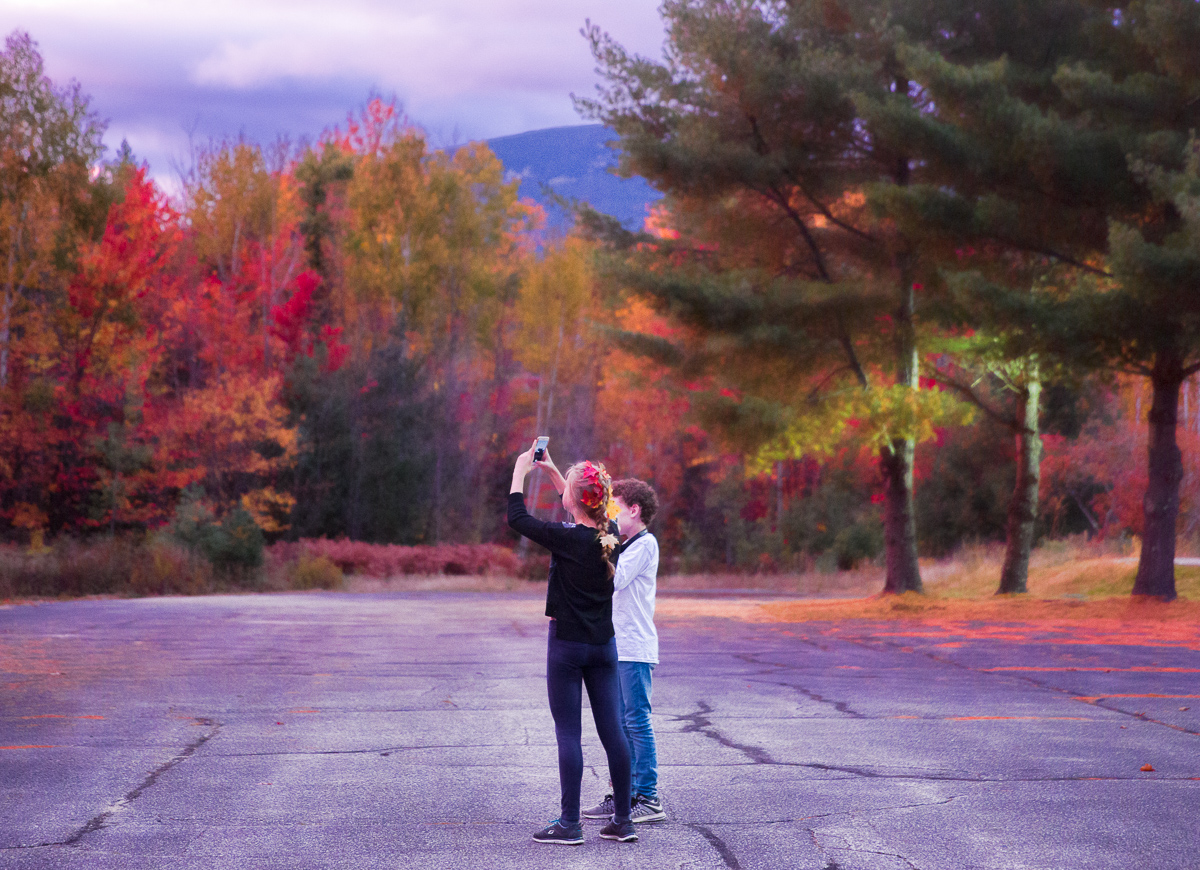 Shooting foliage