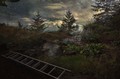 landscape with ladder