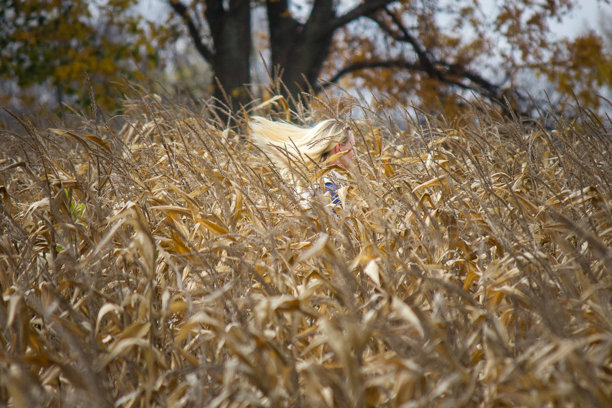 girl in the maize