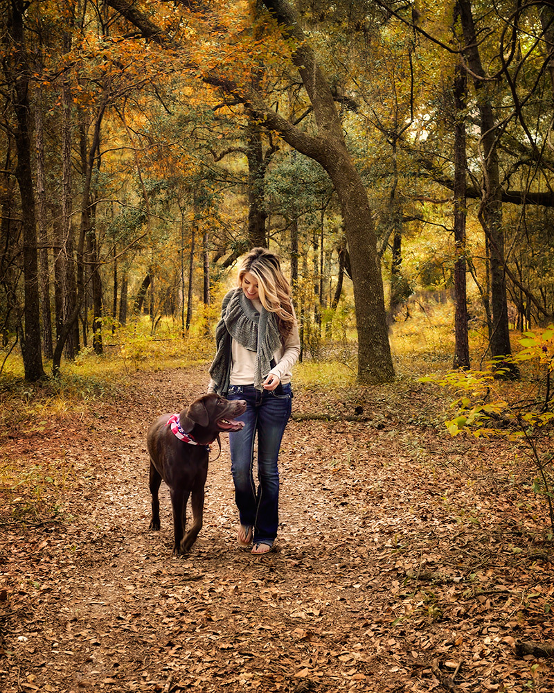 A Walk in the Woods